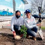 MAN y Volkswagen Truck & Bus implementan acciones proambientales