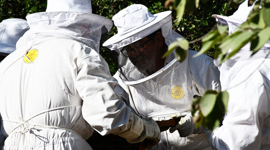 Mercedes-Benz-Autobuses-da-la-bienvenida-a-su-proyecto-Abejedario-Factor-Automotor