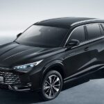 MG en año Nuevo Chino