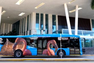 Transporte público en CDMX