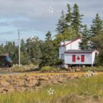 Mujeres emprendedoras mexicanas participan en sesiones de capacitación para fortalecer su acceso al mercado canadiense en Expo México Mujer 2026.