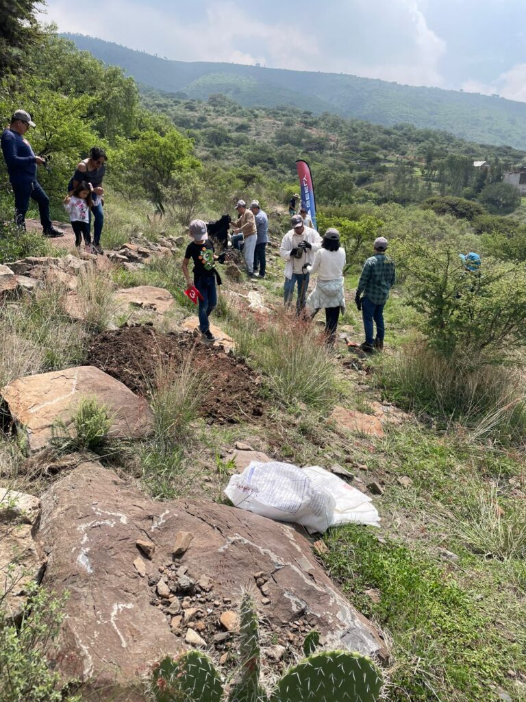 Los voluntarios sembraron magueyes en los senderos del Cerro Gordo.