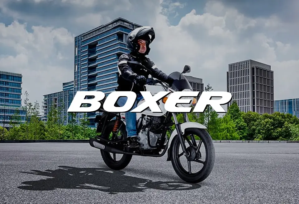Modelo Boxer para trabajo y ciudad