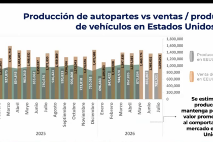 Reporte mensual de enero a mayo de 2026 de la INA sobre las autopartes.