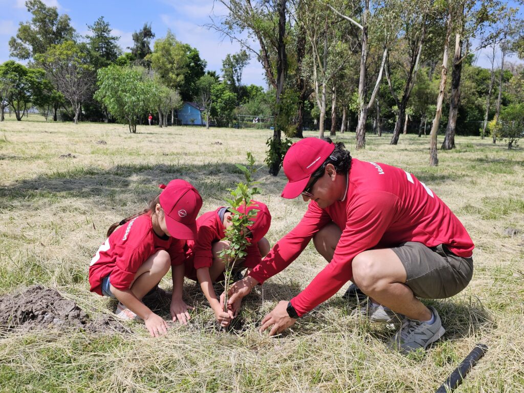 Los árboles fueron plantados en zonas de Aguascalientes y el Estado de Mexico donde se busca recuperar los ecosistemas nativos. 