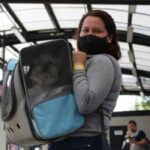 Actualmente, el Metro de la CDMX mantiene reglas específicas para el traslado de animales; la iniciativa plantea ampliar su acceso.