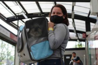 Actualmente, el Metro de la CDMX mantiene reglas específicas para el traslado de animales; la iniciativa plantea ampliar su acceso.