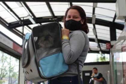 Actualmente, el Metro de la CDMX mantiene reglas específicas para el traslado de animales; la iniciativa plantea ampliar su acceso.