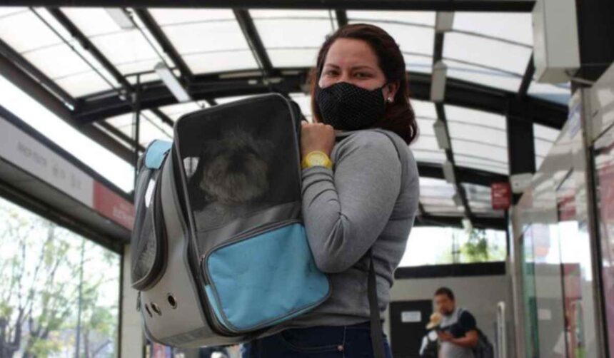 Actualmente, el Metro de la CDMX mantiene reglas específicas para el traslado de animales; la iniciativa plantea ampliar su acceso.