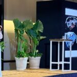 Beyond Movilidad Compartida presentó en Fleet LATAM Summit 2026 el proyecto con el que busca desarrollar un vehículo eléctrico multipropósito para flotillas