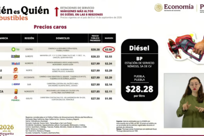 Estaciones que no respetan el precio de las gasolinas