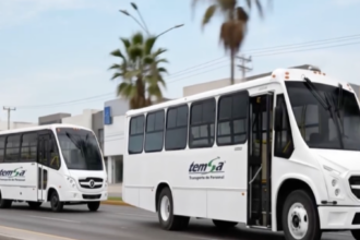 Temsa recibió un total de 17 autobuses nuevos fabricados por BECCAR y Mercedes-Benz.